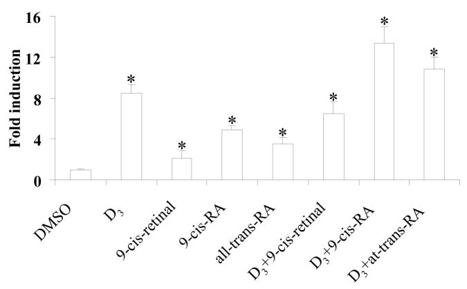 Fig. 2