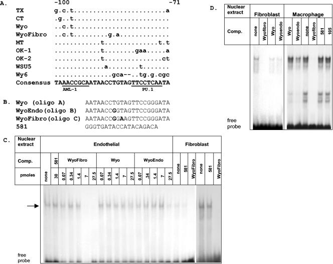 FIG. 4.