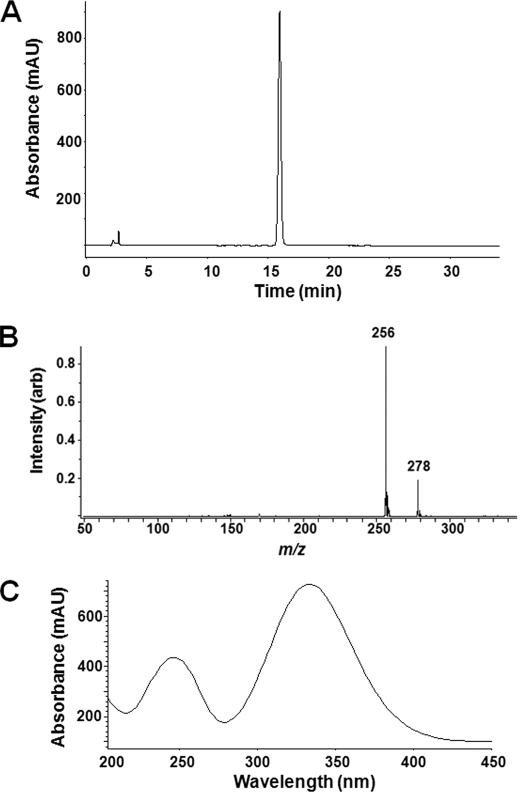 FIGURE 4.