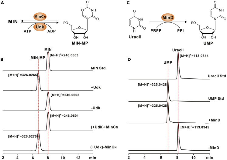 Figure 4