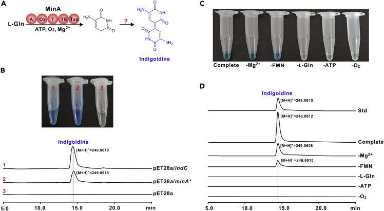 Figure 3
