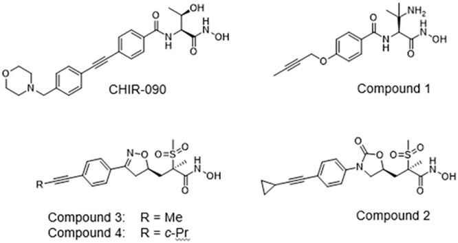 FIG 1