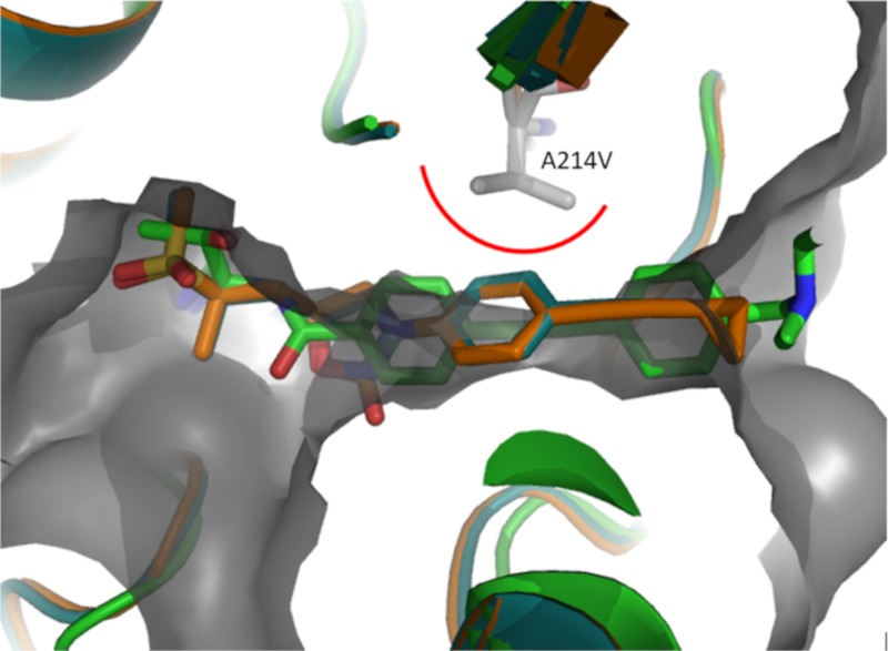 FIG 3