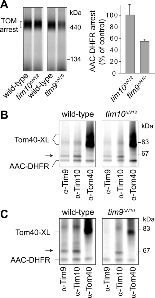 Figure 7.