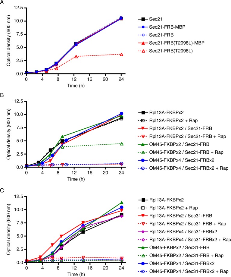 Figure 2.