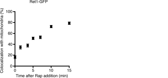 Figure 3—figure supplement 1.