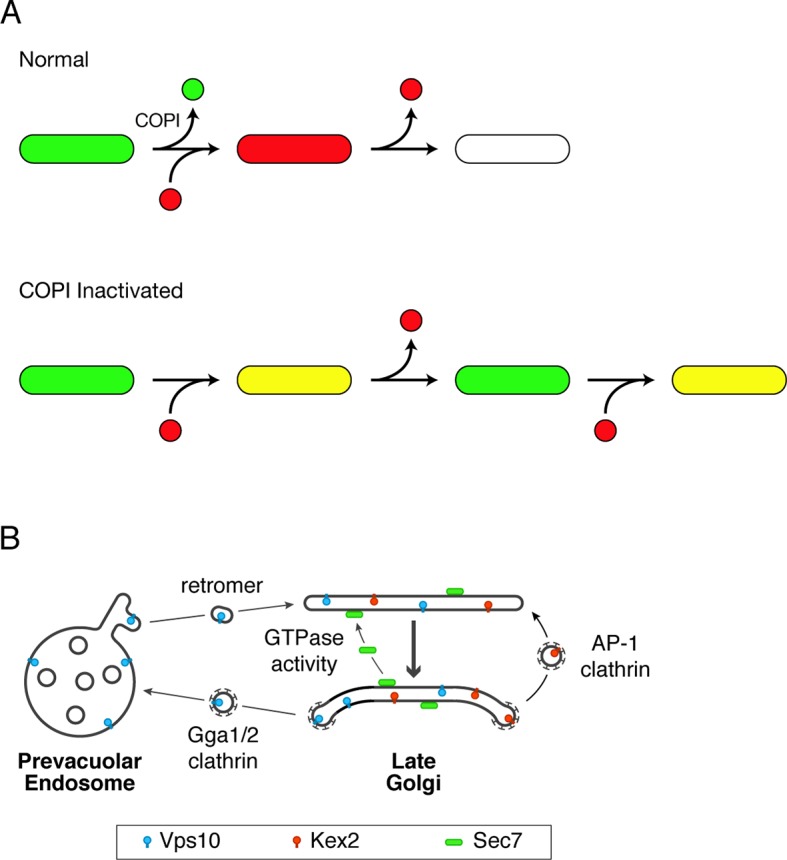 Figure 12.