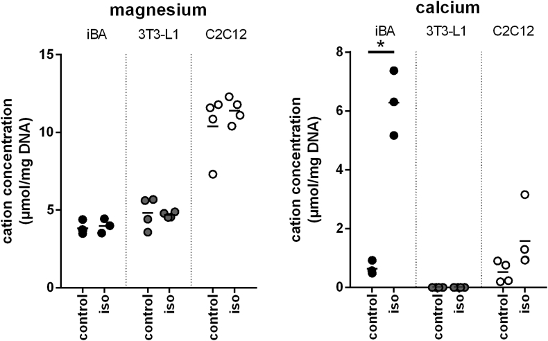 Figure 5