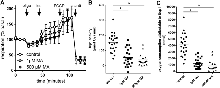 Figure 6