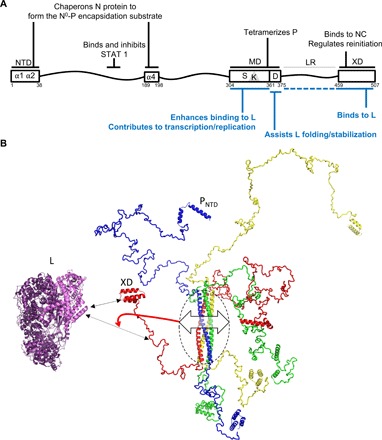 Fig. 6