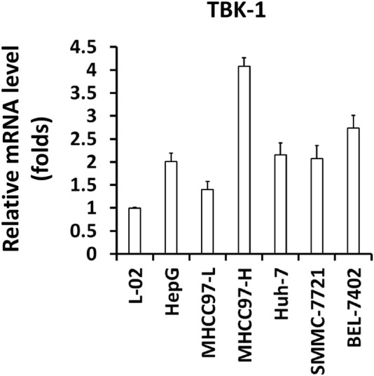 Knockdown of TANK-Binding Kinase 1 Enhances the Sensitivity of ...