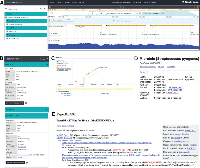 Screenshots of emm region on the NV1 chromosome, pop-up menu with links to external resources for coding sequences, 3D model of the structure of M1, NCBI with details of M1, and scientific papers retrieved from PaperBlast are featured.