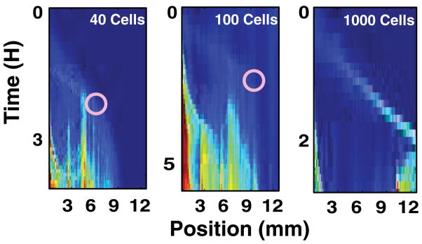 FIG. 4