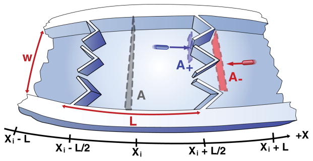 FIG. 3