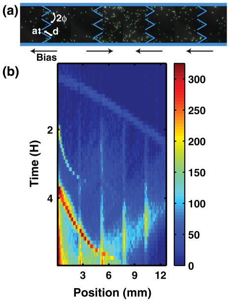 FIG. 1