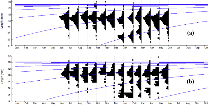 Figure 4