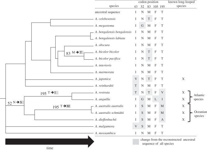 Figure 2.