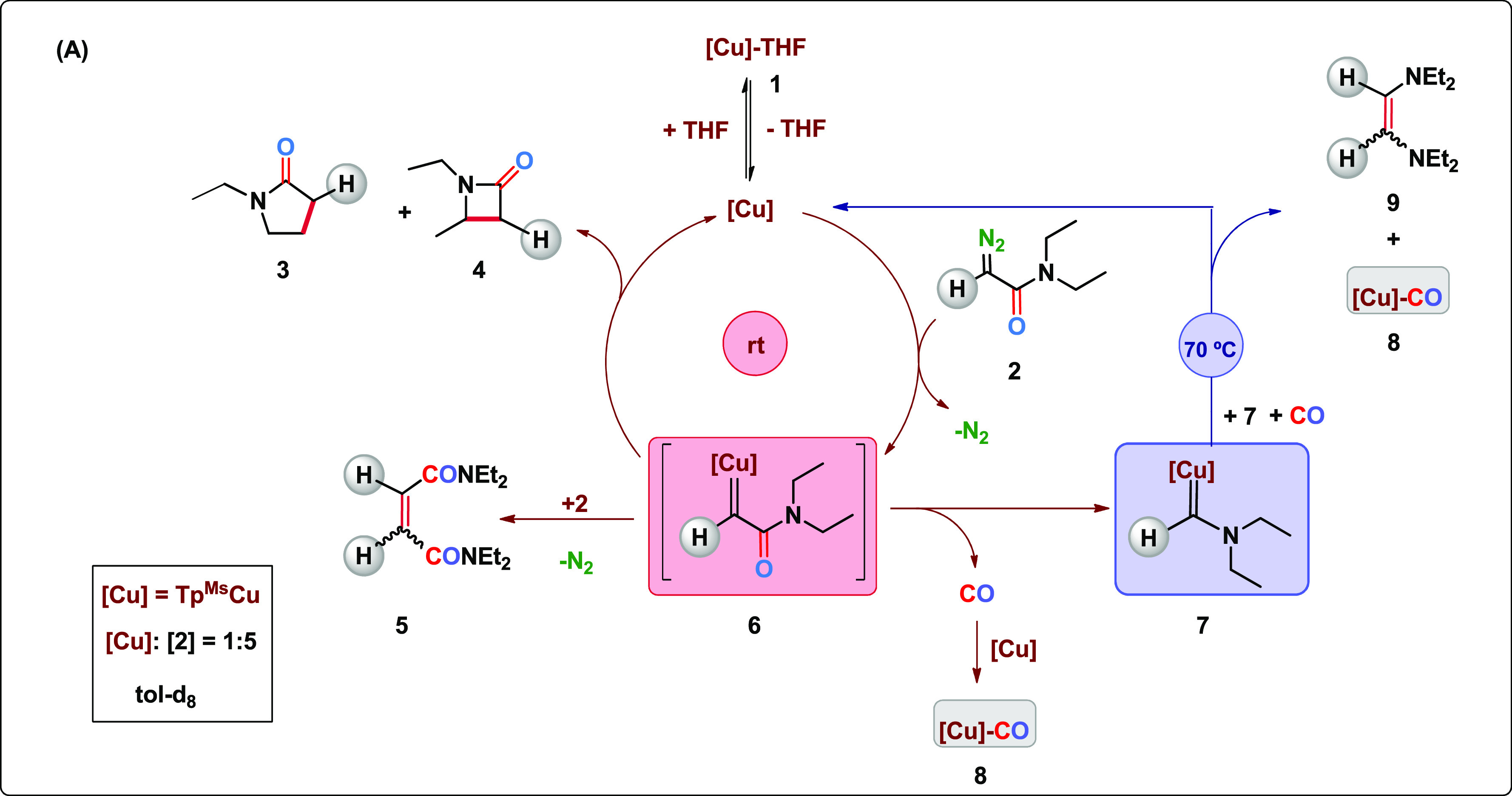 Scheme 4