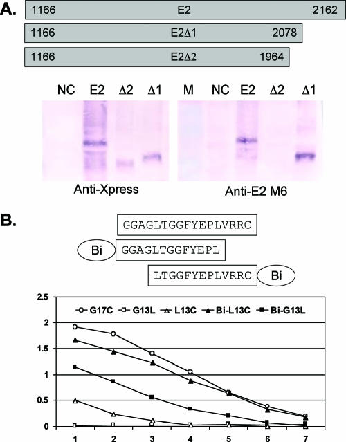 FIG. 6.