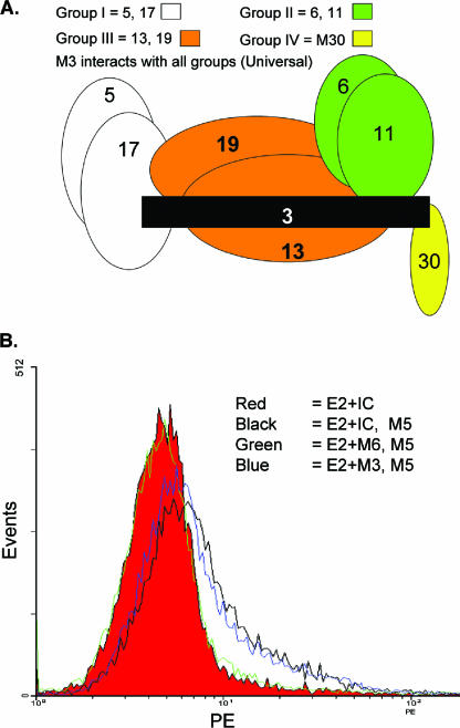 FIG. 4.