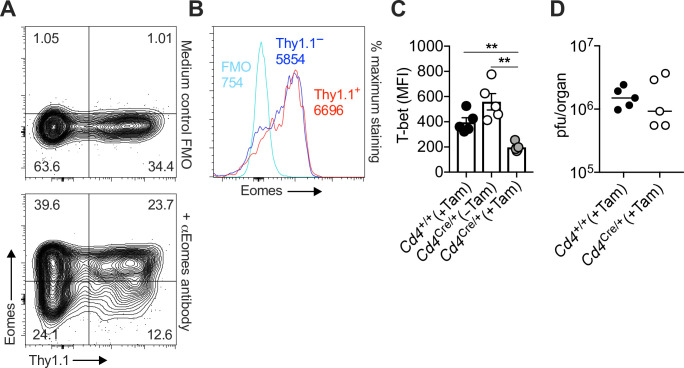 Figure 5—figure supplement 1.