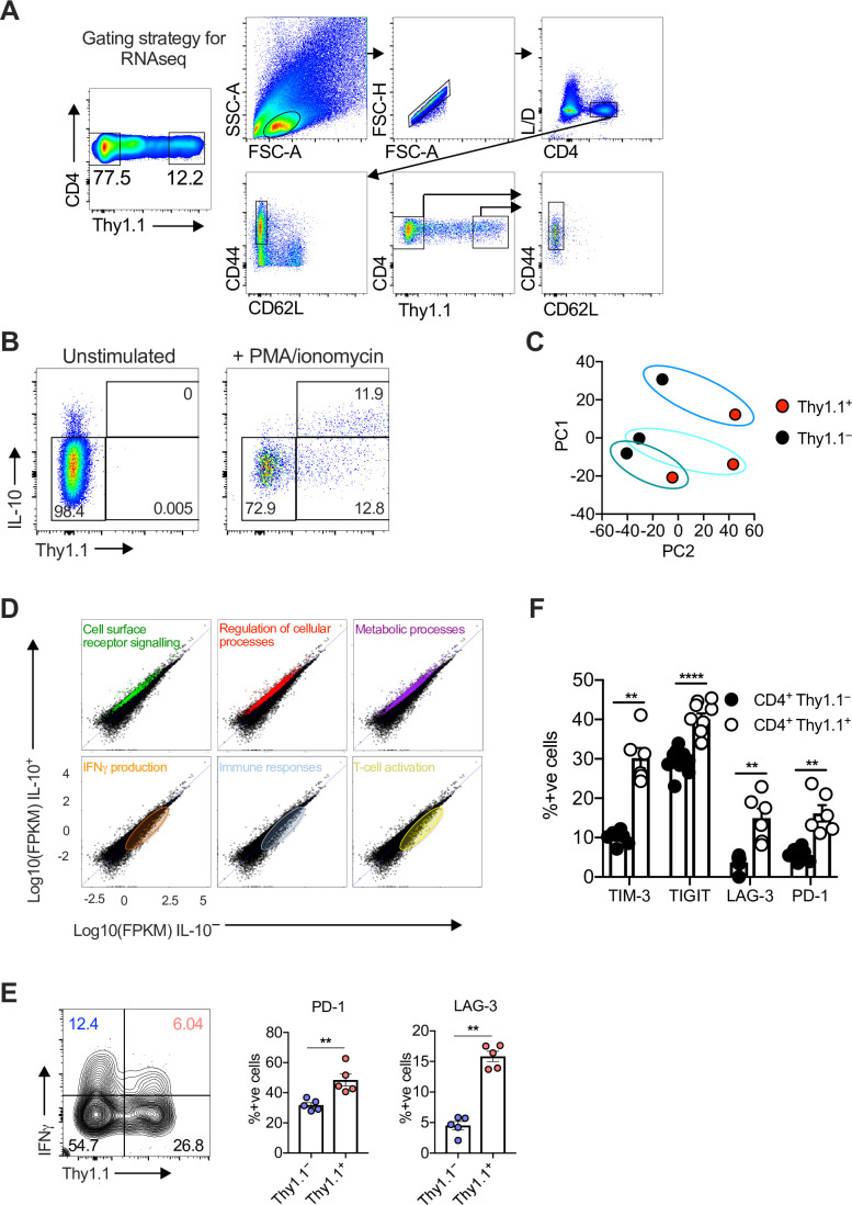 Figure 1—figure supplement 1.