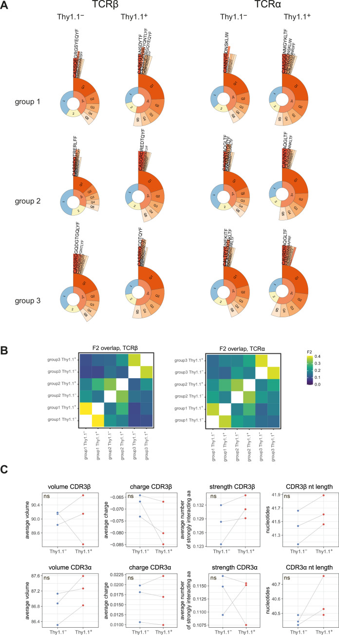 Figure 2—figure supplement 1.