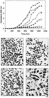 FIG. 4.
