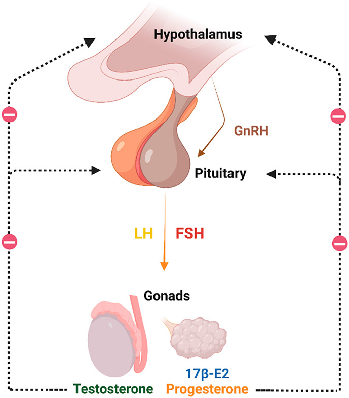 Figure 1.