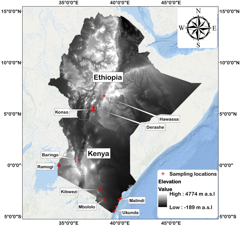 Fig 2