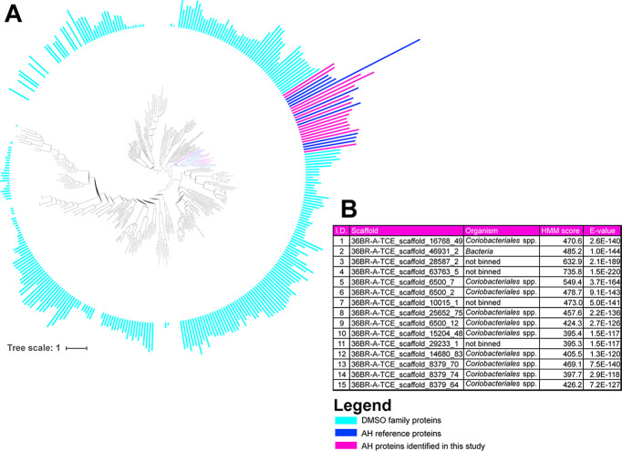 FIG 3