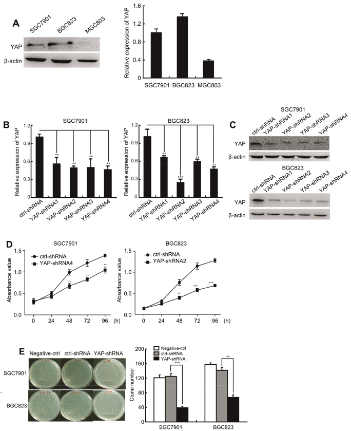 Figure 2.