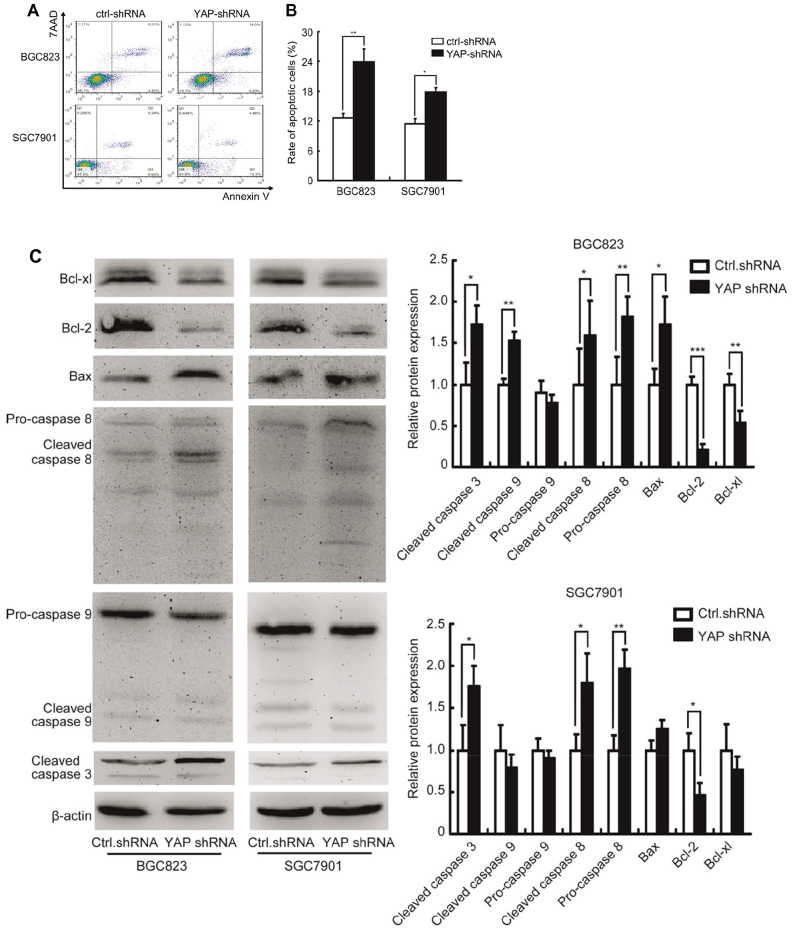 Figure 3.