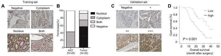 Figure 1.