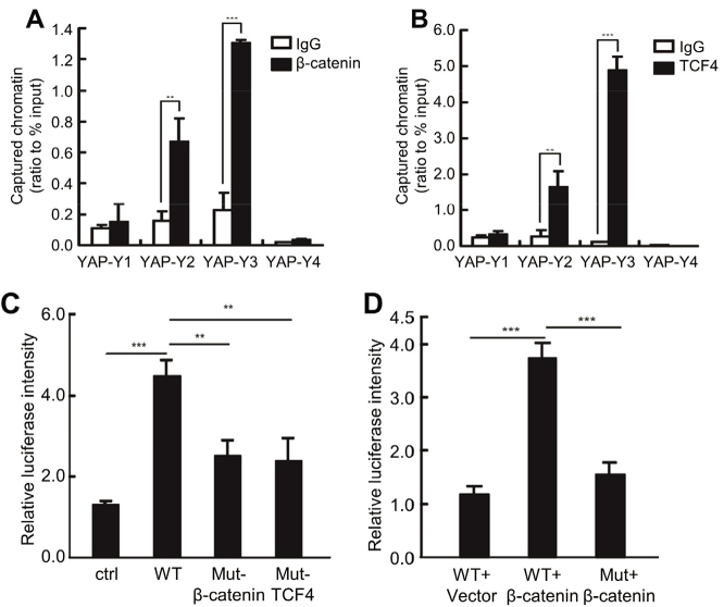 Figure 6.