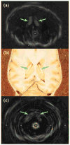 Figure 7