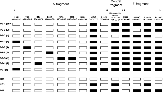 Fig 1