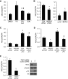 FIGURE 6: