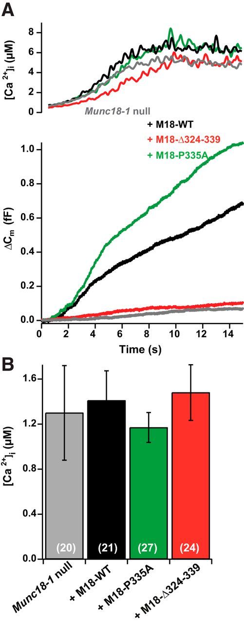 Figure 6.