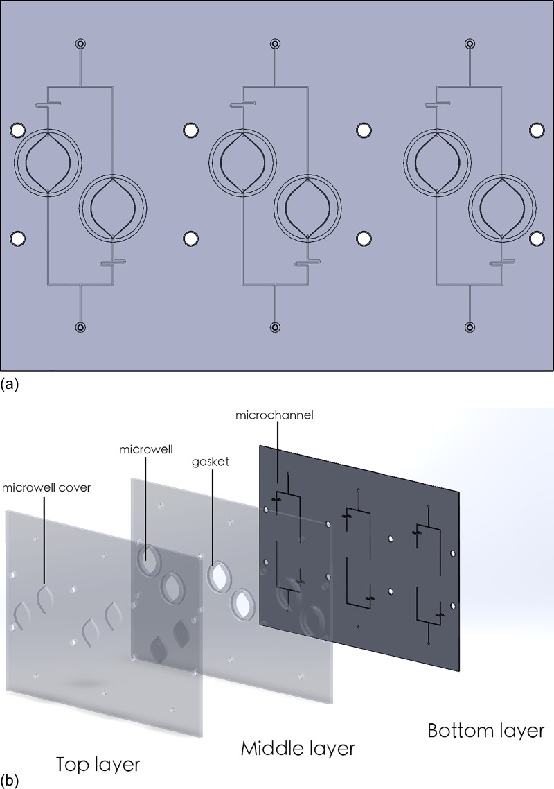 FIG. 2.