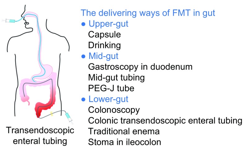 Figure 2