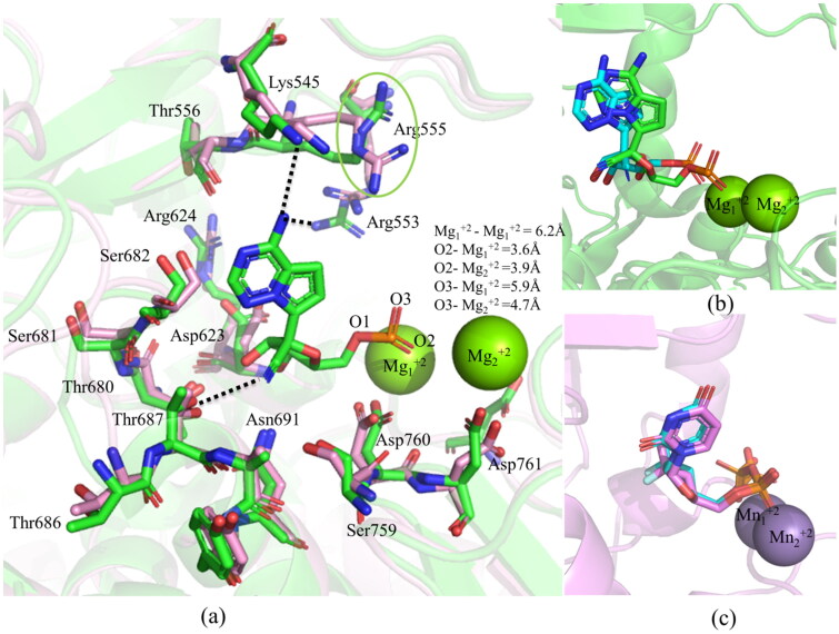 Figure 2.