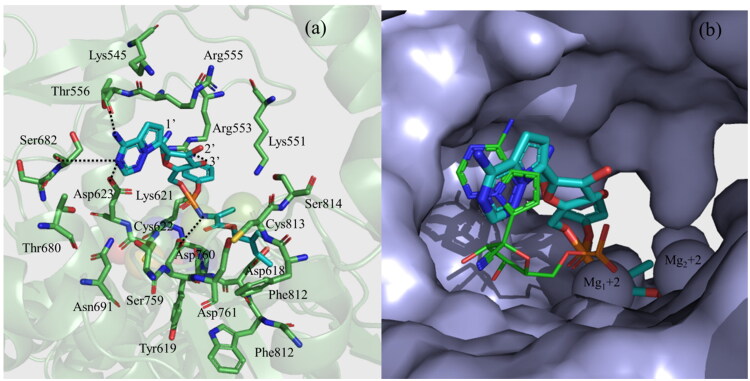 Figure 3.