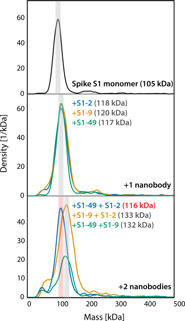 Figure 3—figure supplement 1.