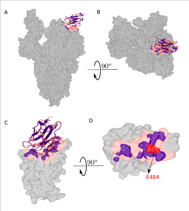 Figure 6—figure supplement 2.