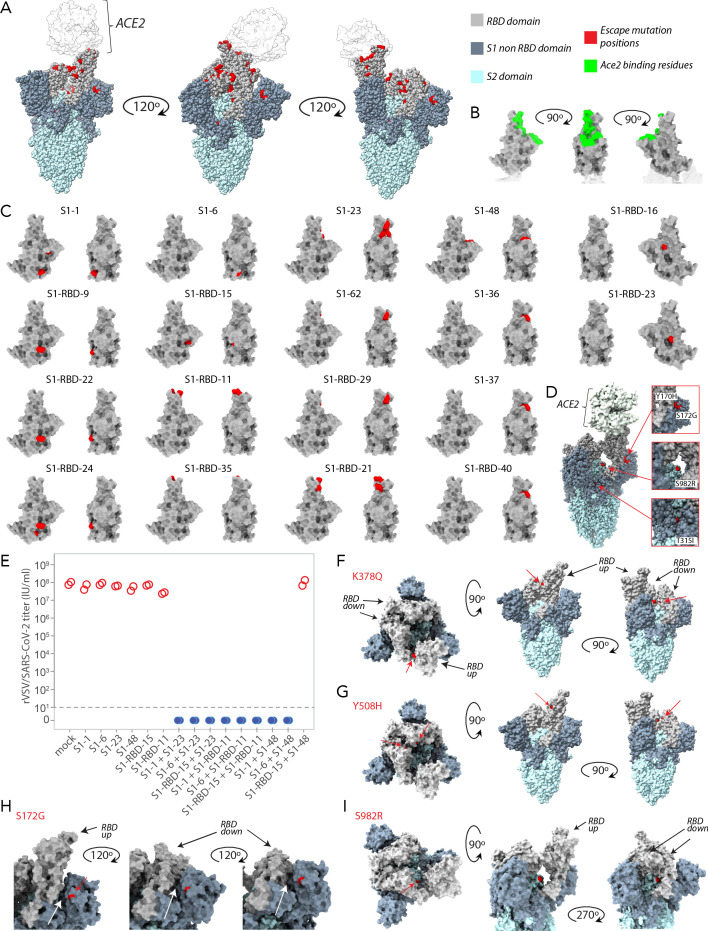 Figure 6—figure supplement 1.