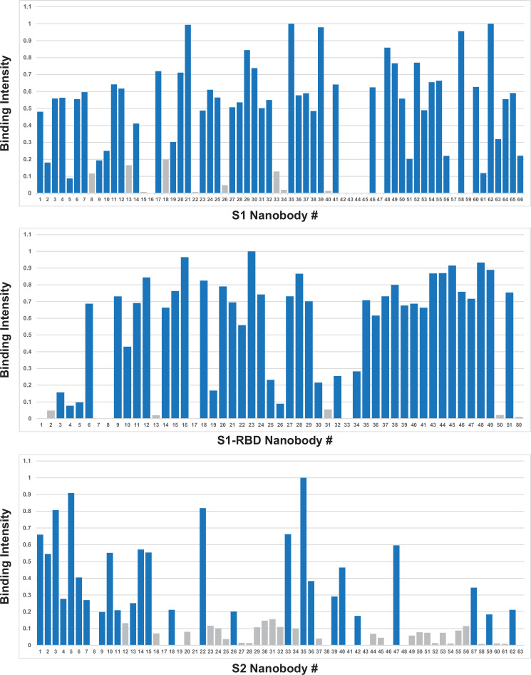 Figure 2—figure supplement 2.