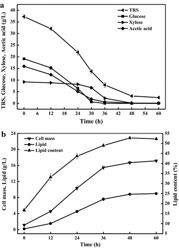 Fig. 6