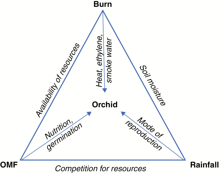 Fig. 8.