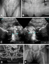 Fig. 8